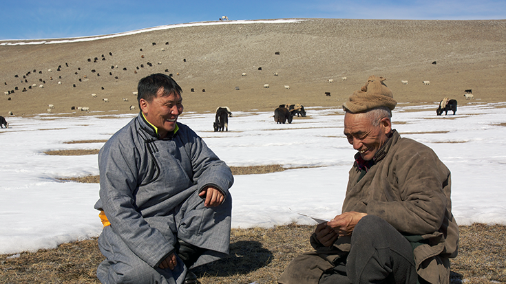 A New Model to Insure Livestock in Mongolia